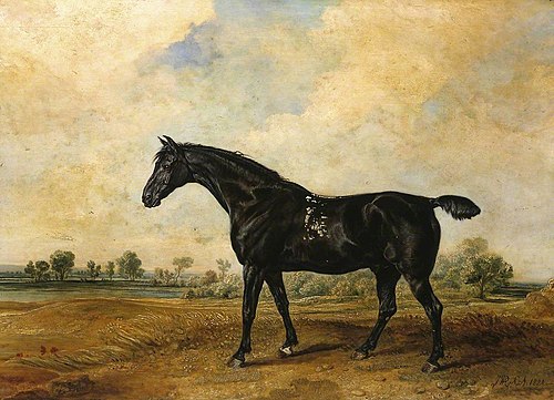 The Black Horse, 1824, James Ward