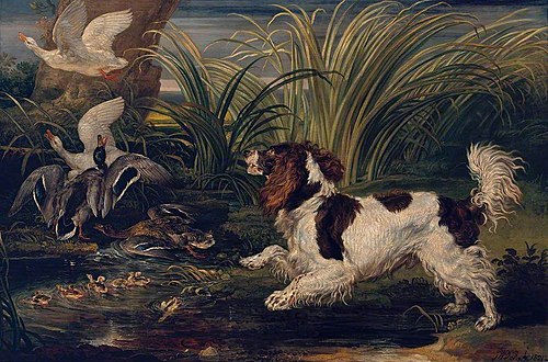 A Spaniel Frightening Ducks, 1821, James Ward