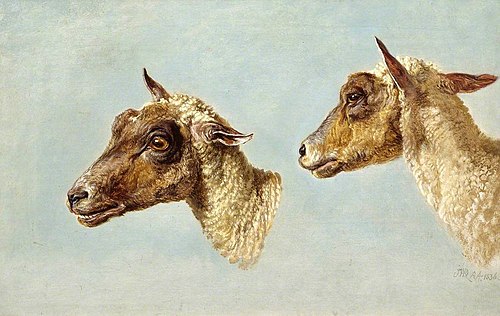 Study of Sheeps’ Heads, 1836, James Ward