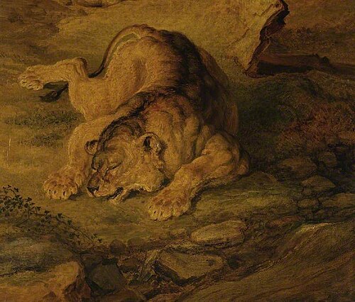 Sleeping lioness, 1845, James Ward