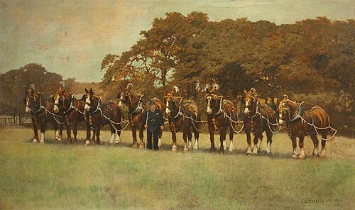 Shire Horses, 1896, James Weaver Tattersall