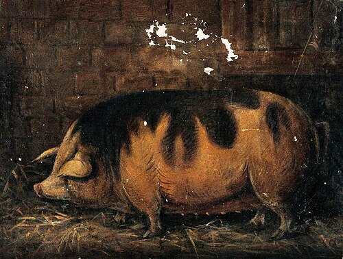 A Sow in the Straw, , Stephen Jenner