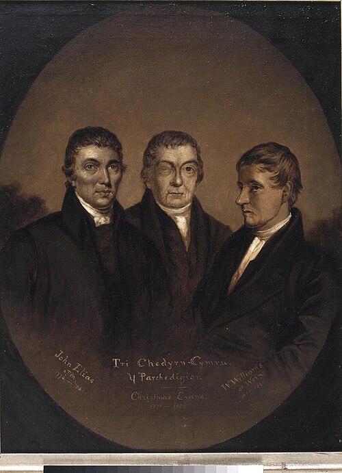 Tri chedyrn Cymru, 1869, William Williams