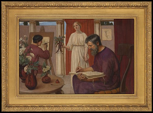 Dioscorides describing the mandrake, 1909, Ernest Board