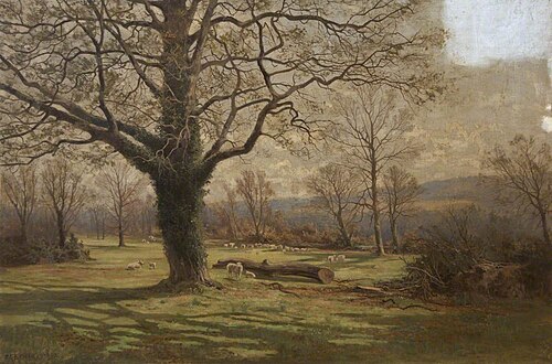 Carthamartha, , Arthur Bevan Collier