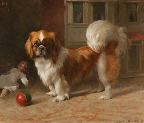 'Bo', a Pekingese dog, 1917, Evelyn Blacklock