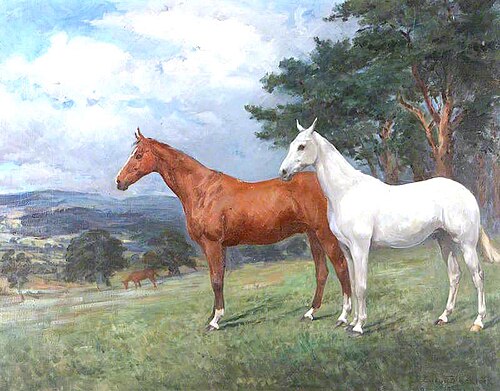 Two Horses in a Landscape: a Chestnut and a Grey Hunter, 1922, Evelyn Blacklock