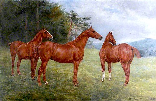 Three Chestnut Horses in a Landscape, 1898, Evelyn Blacklock