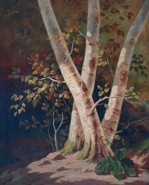 Trees, , Auguste Bonnefoi