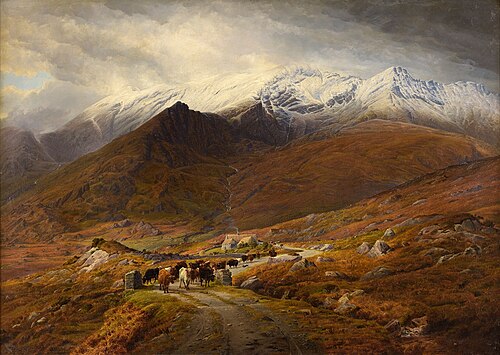 Landscape near Killarney (Killarney National Park)., 1869, Bartholomew Colles Watkins