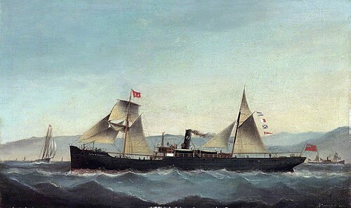 SS 'Glanrheidol', 1885, Basi Ivancovich