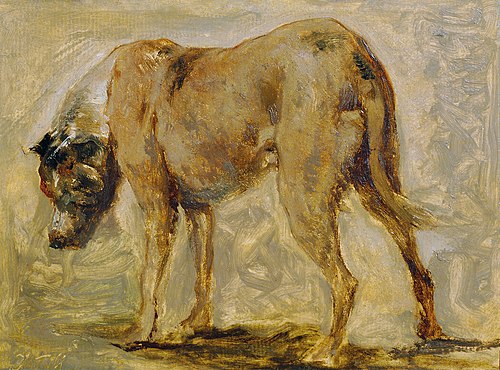 Braune Dogge, 1875, Johann Till