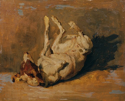 Sich wälzender Hund, 1875, Johann Till