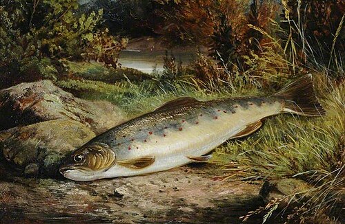 Fish on a Grassy Riverbank, 1886, Benjamin Hold