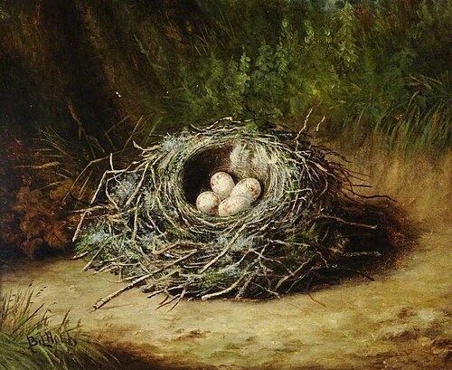 Still Life, 1896, Benjamin Hold