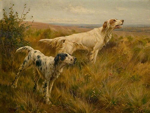 Two Setters in a Landscape, , Thomas Blinks