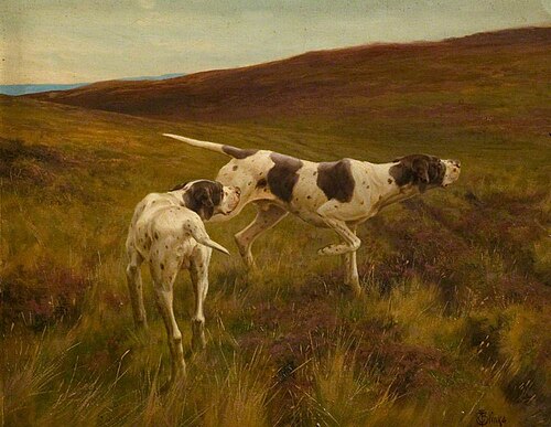 Pointers in a Landscape, , Thomas Blinks