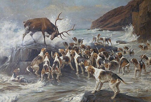 Stag at Bay on a Rocky Shore, 1896, Thomas Blinks