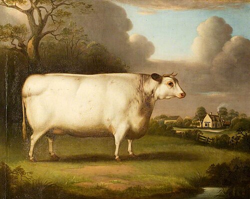The Habertoft Heifer, 1841, B. Hubbard