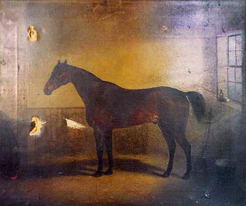Chestnut Horse (before restoration), 1845, B. Hubbard