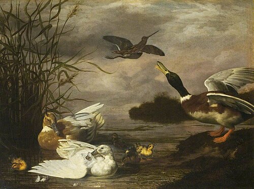Loch with Wild Ducks and a Woodcock, , Johannes Spruyt