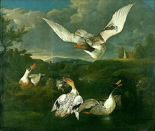 Landscape with birds., 1660, Johannes Spruyt