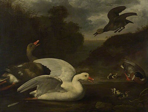Geese and Ducks, 1660, Johannes Spruyt