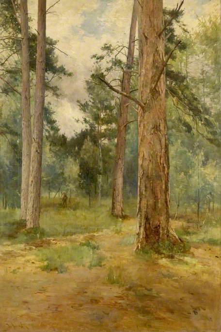 Landscape, Woodland Scene, , Thomas Bunting