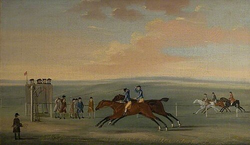'Brisk' and 'Fox' Running a Match over the Round Course at Newmarket, 1758, Thomas Butler