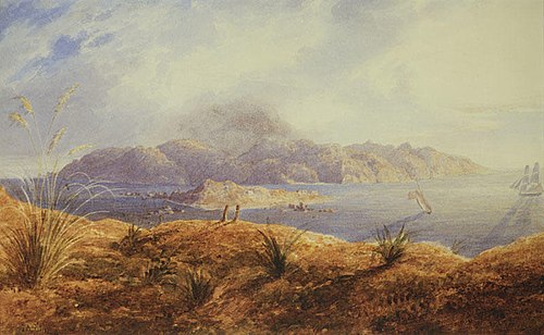 Kapiti Island, , John Alexander Gilfillan