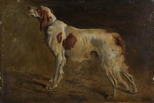 A Setter, , John Alfred Wheeler