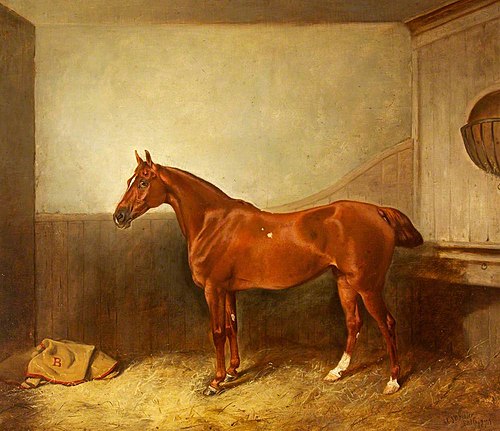 A Chestnut Hunter with a White Blaze, in his Stable, 1876, John Alfred Wheeler