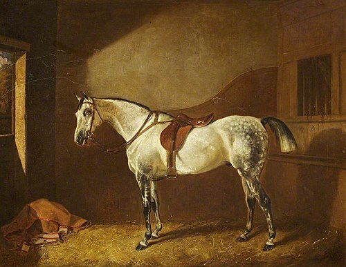 Sir Henry Ainslie Hoare's Favourite Hunter, 1873, John Alfred Wheeler