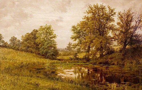 Pond near Whittem's Farm, near Coundon, Warwickshire, , John Anderson
