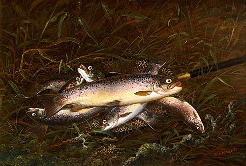 Dead Trout, 1881, Thomas Greenslade Targett