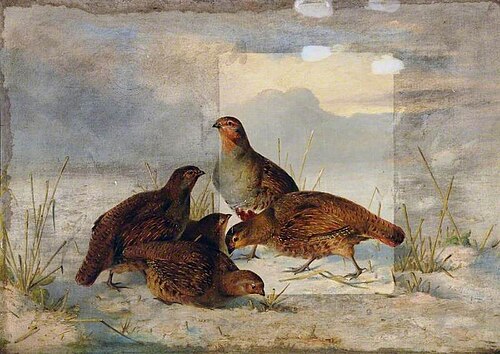 Patridges in the Snow, , John Christopher Bell