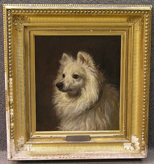 Spitz Dog, 1873, Thomas Robinson
