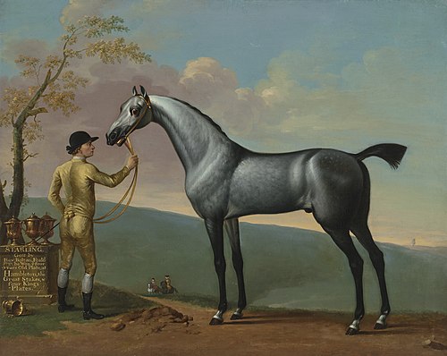 'Starling', a Grey Racehorse, by 'Bay Bolton', , Thomas Spencer