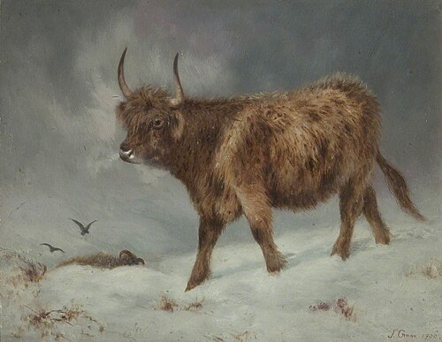 Highland Cow in the Snow, 1900, John Crane