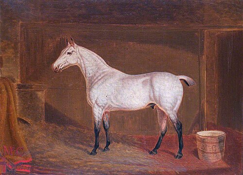 'Tommy', 1884, Thomas Temple