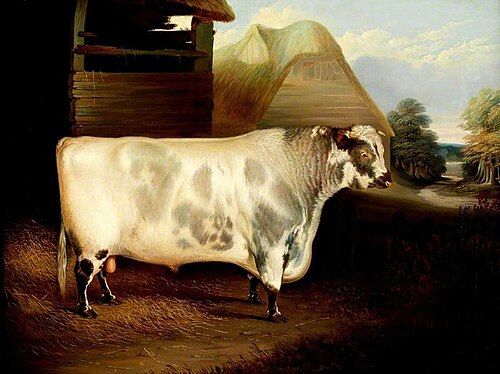 'Duke of Northumberland' (A Bull), 1839, John Dalby