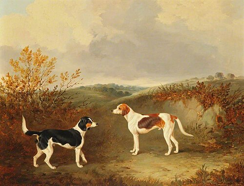 Two Foxhounds in a Landscape, 1846, John Dalby