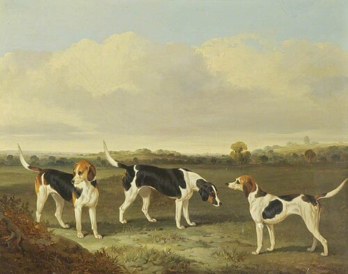 Three Foxhounds in a Landscape, 1846, John Dalby