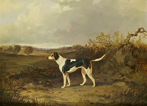 Foxhound in a Landscape (facing to the left), 1846, John Dalby