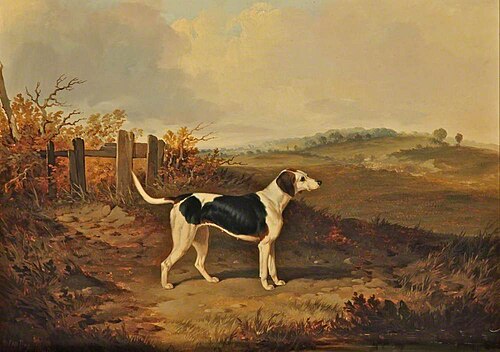 Foxhound in a Landscape (facing to the right), 1846, John Dalby