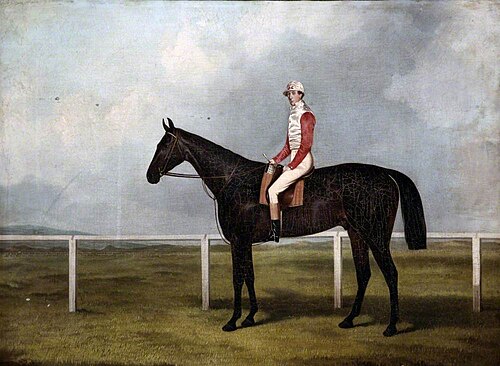 A Racehorse with Jockey Up, on a Racecourse, 1850, John Dalby