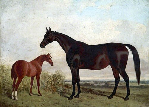 Mare and Foal in a Landscape, , John Dalby
