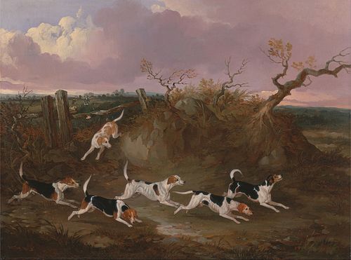 Beagles in Full Cry, 1845, John Dalby