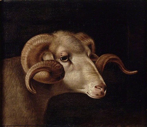 A Corsican Goat's Head, looking right, 1808, Thomas Weaver