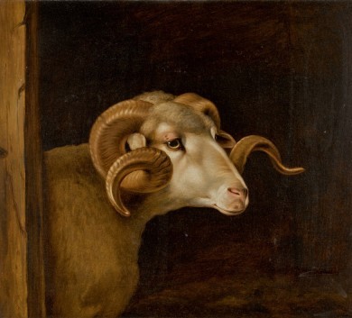 Head of a White Faced Ram, , Thomas Weaver